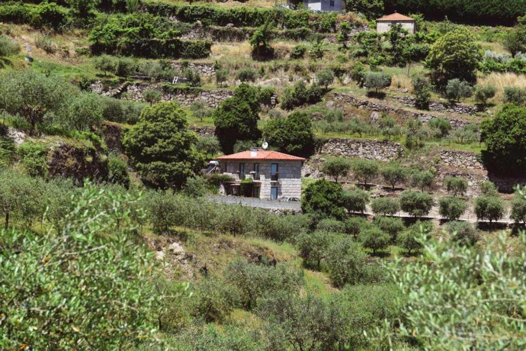 Villa Casa Dos Becos Ribadouro Exterior foto